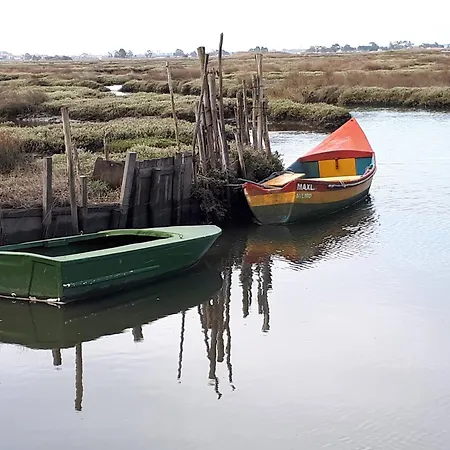 Apartment P&h Aveiro