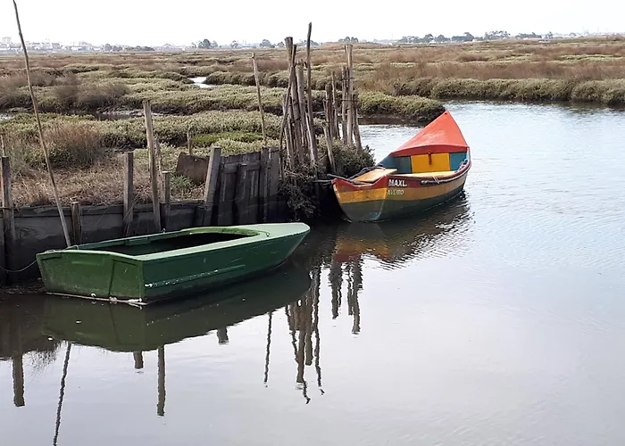 Apartment P&h Aveiro